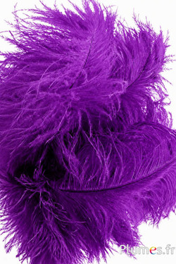 Strauss - 30-40 cm - aubergine-lila